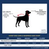 ComfyCamper Disfraz de fantasma para perros pequeños, medianos y grandes,