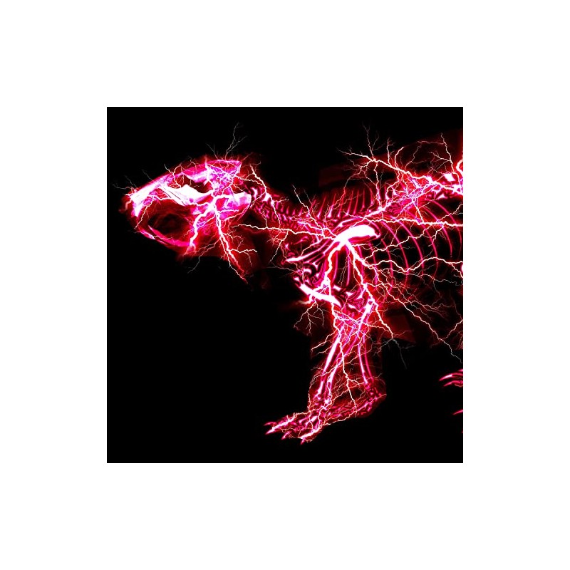 グラデーション (初回生産限定盤A) - SUPER BEAVER