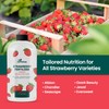 32oz Strawberry Fertilizer - Makes 32 Gallons of Fruit Tree