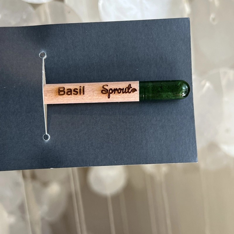 Sprout (2) Meta Pencil With Basil Seeds, Use Pencil Then