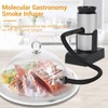 Food Smoker Portable Handheld Food Smoke Infuser for Fish Seafood