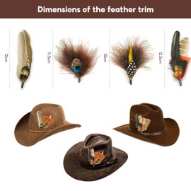 12PCS Hat Feathers, Peacock Feather for Fedora Hats, Pheasant Feathers Accessories Cowboy Hat Feather for Hats Decorations(12 Style)
