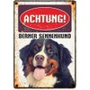 Plenty Gifts Metal Sign Vintage Caution Bernese Mountain Dog