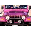 Enteek 3D Car Eyelashes Vinly Sticker Big Long Eye for