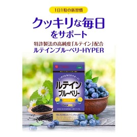 ハーブ健康本舗 ルテイン ブルーベリー HYPER 30粒 (30日分) アスタキサンチン DHA ビタミン 6種配合 国内製造