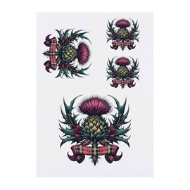 Azeeda 4 x 'Schottische Distel mit Tartanband' Temporäre Tattoos - Wasserfest, Hautfreundlich & Ungiftig · Transfers in Verschiedenen Größen (TO00087926)