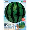 Igarashi Beach Ball 33.5 inches (85 cm), Real Watermelon Ball,