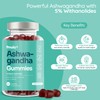 Ashwagandha High Strength Gummies | 1200mg Organic Ashwagandha Gummies with