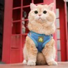 NeuWee Cat Harness and Leash with Cat Collar for Walking,