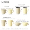 Takenaka T-26656 Dish Calm Dish, Square, Curry & Pasta, Made