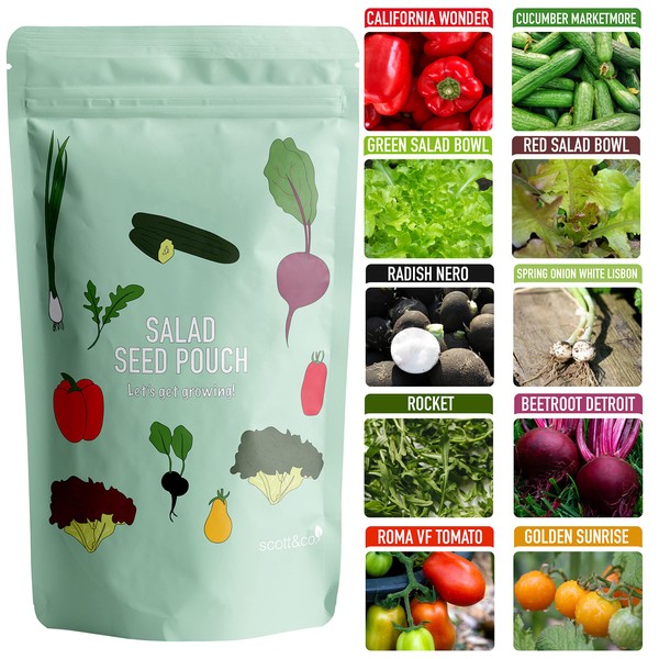 Scott & Co. Salad Seed Variety Pack, UK Veg Indoor and Outdoor Planting, Beetroot, Tomato, Lettuce, Spring Onion, Radish, Cucumber, Rocket, Pepper Vegetable Seeds, Gardening Gifts for Men and Women