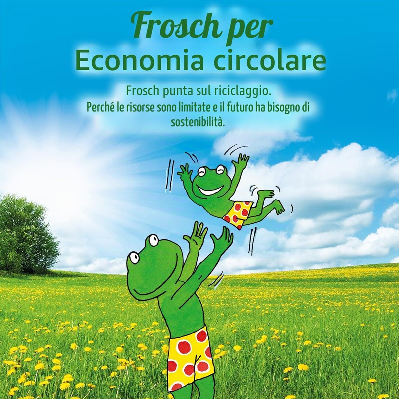 Frosch Detergente per WC, limone, 0,75 l