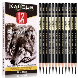 KALOUR Professional Charcoal Pencils Drawing Set -12 Pieces Soft, Medium and Hard Charcoal Pencils for Drawing, Sketching, Shading, Artist Pencils for Beginners & Artists