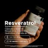 PACALLI Resveratrol con Quercetina - 60 Cápsulas