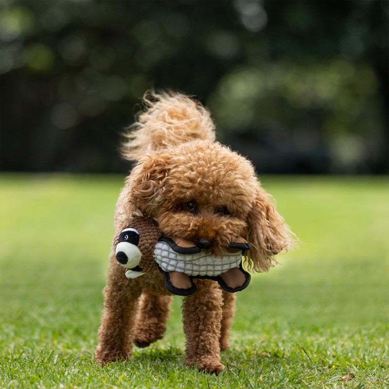 TOTAL CARE Dog Toy Cuddlechews 1 piece