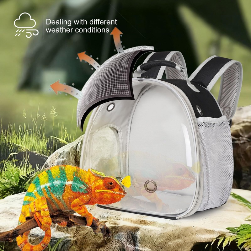 Guinea Pig Backpack Carrier, Bearded Dragon Carrier Backpack with Clear