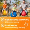 Emergen-C Emergen-C Kidz Daily Immune Support Dietary Supplements, Flavored Gummies