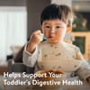 Go & Grow 360 Total Care by Similac Toddler Nutritional