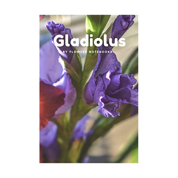 Gladiolus: Notebook for Drawing and Writing, Journal, Diary, School, Office,