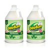 OdoBan Disinfectant Concentrate and Odor Eliminator, 2 Gallons, Original Eucalyptus