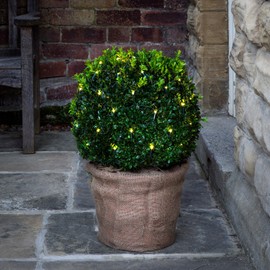 Lights4fun 60 LED Light Net Warm White Green Cable Timer Indoor Outdoor