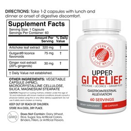 Silver Fern GI Relief - Natural Herbal Supplement - All Natural with Artichoke Leaf Extract, Ginger Root Extract, and GutGuard Licorice Flavonoids (2 Bottles - 120 Capsules - 60 Day Supply)