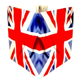 (30+ Designs) Passport Cover Holder Protector Wallet Case Mens Womens for Travel Holiday & Luggage Tag Options (Union Jack)