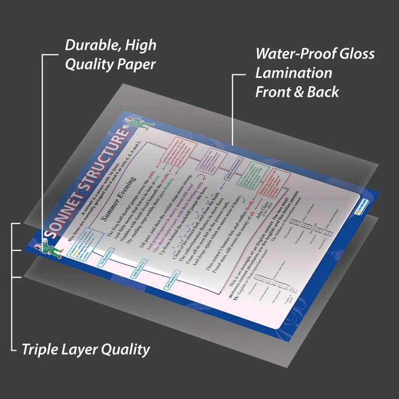 Sonnet Structure | English Literature Posters | Laminated Gloss Paper