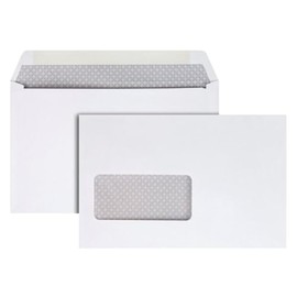 Quality Park Envelopes, 5-3/4 x 9 Inch Window Booklet, Security Tinted, 24 lb White Wove, Gummed Flap, 25 Pack - Ideal for Tax Season, T4 Slips, Mailing, and Organizing