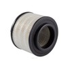 Ryco Air Filter (A1541)