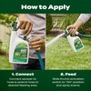 Scotts Liquid Green Max Lawn Food: 2,000 sq. ft., 2-in-1