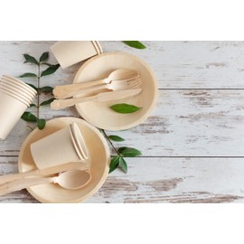 Eco Craft Stix Elegant Wooden Spoons. Eco-Friendly,BiodegradableAnd Compostable Wooden Spoons. Wooden Disposable Spoons 7.75 Inches. Pack of 100Count