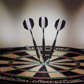 Elkadart "One Fifty Steel Tip Darts with Storage/Travel Case, 20 Grams, Black