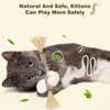 SINROBO 4 Pack Silvervine Sticks for Cats - Cat Chew