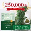 オーガニック 野菜 サプリ 無添加 いづものモロヘイヤ100 (450粒入)約30日分 マルチビタミン 野菜不足 食物繊維 腸活