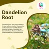 Dandelion Root 1 LB | Cut and Sifted Loose Root
