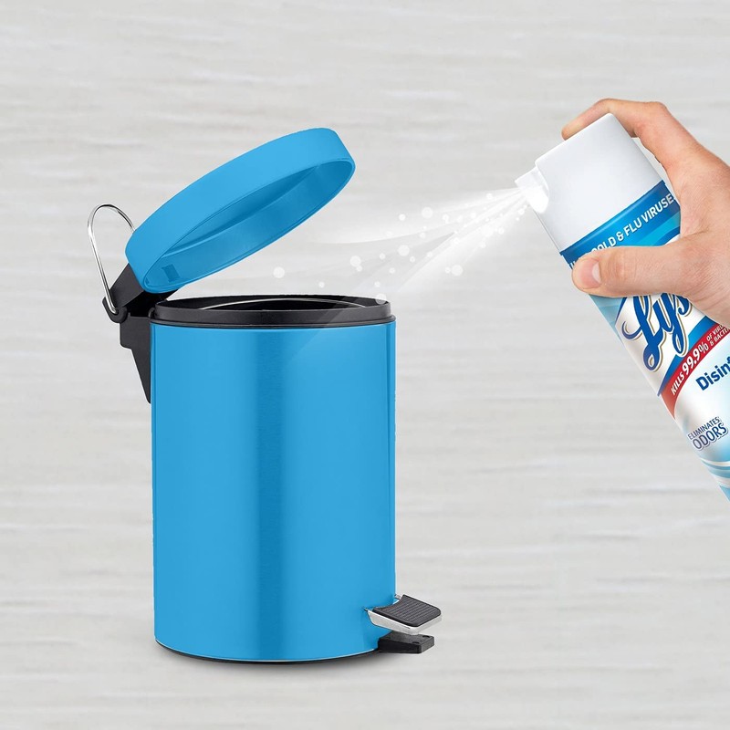Lysol Disinfectant Spray, Sanitizing and Antibacterial Spray, For Disinfecting and