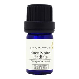 Eucalyptus Radiata < 30ml > Essential Oil / Essential Oil / Aroma Oil