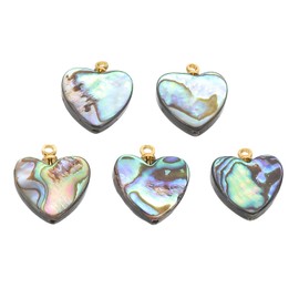 PATIKIL Abalone Shell Charm, 5 Pcs Heart Shape Paua Shell Pendant 12mm Sea Abalone Shell Decorations for Necklace DIY Ocean Jewelry Making, Mix Colors