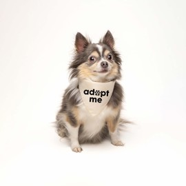 Adopt Me Dog Bandana | 100% Unbleached Cotton Adjustable Triangle | Made in USA | Adoption Event Prop Photoshoot | Rescue |Natural, X-Small (1237)