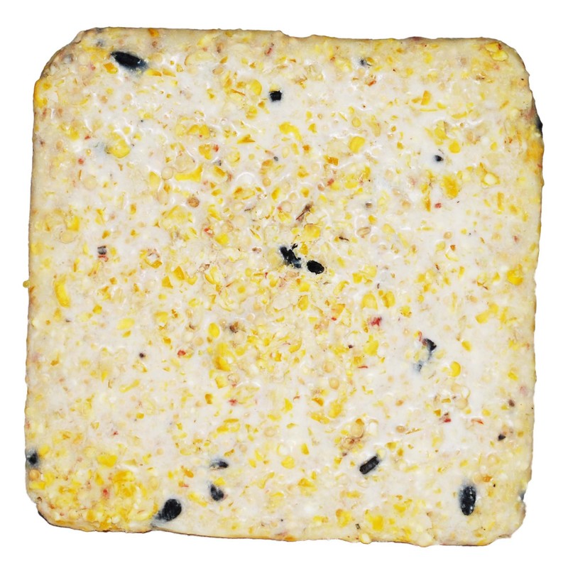 ST. ALBANS BAY SUET PLUS Suet Cake Variety Packs, 11