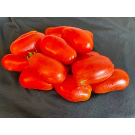 50+ Opalka Heirloom Paste Tomato Seeds