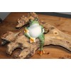 Holzwurm Decorative Ceramic Frog Sitting 20cm Garden Ornament Green White