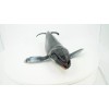 Deshen Du Humpback Whale, Hand Painted, Realistic Toy Figure, Model,