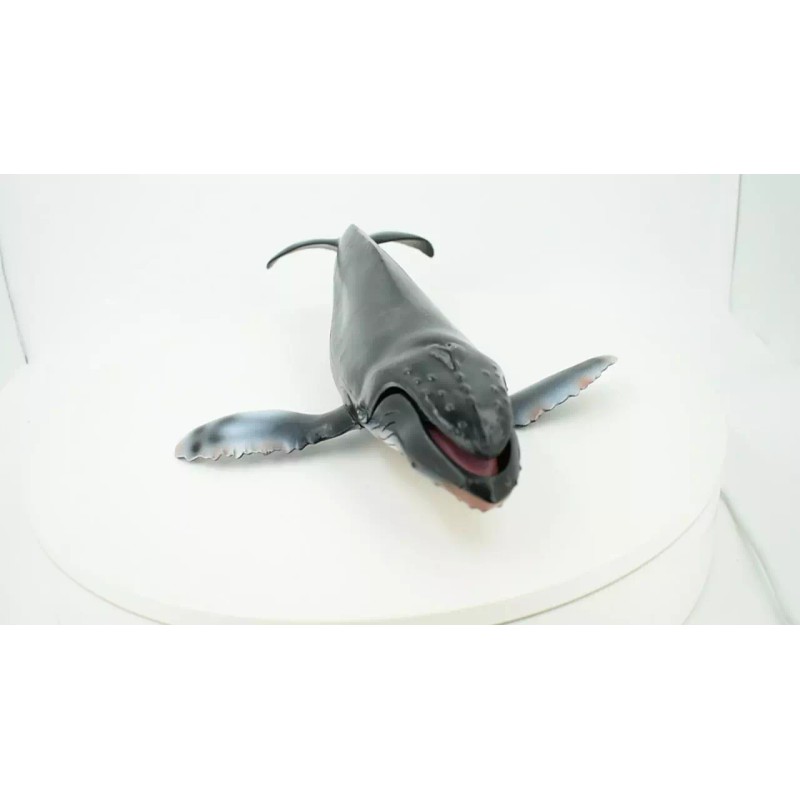 Deshen Du Humpback Whale, Hand Painted, Realistic Toy Figure, Model,