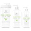 Jellen Organic Aloe Vera Conductive Facial Gel (8 fl. oz.)