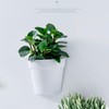 Yosoo Half Circle Wall Mounted Plastic Planter, Water Cultivation Design,