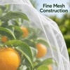Plant Protection Netting for Fruit Trees & Garden Plants –