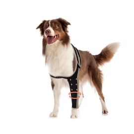 LISPOO Dog Recovery Sleeve Front Leg Prevent Dog from Licking Wound, Dog Leg Sleeve is Made of Yoga Fabric, Dog Dleeve to Prevent Licking is Breathable, Suitable for Summer, Cone Collar Alternative S