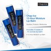 Moisturizing Lip Balm SPF 15 – 6 Pack Lip Balm